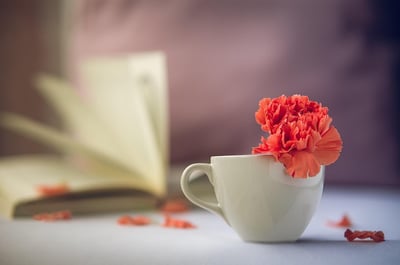 Warum ist es wichtig, lokale Nachrichten zu unterstützen?